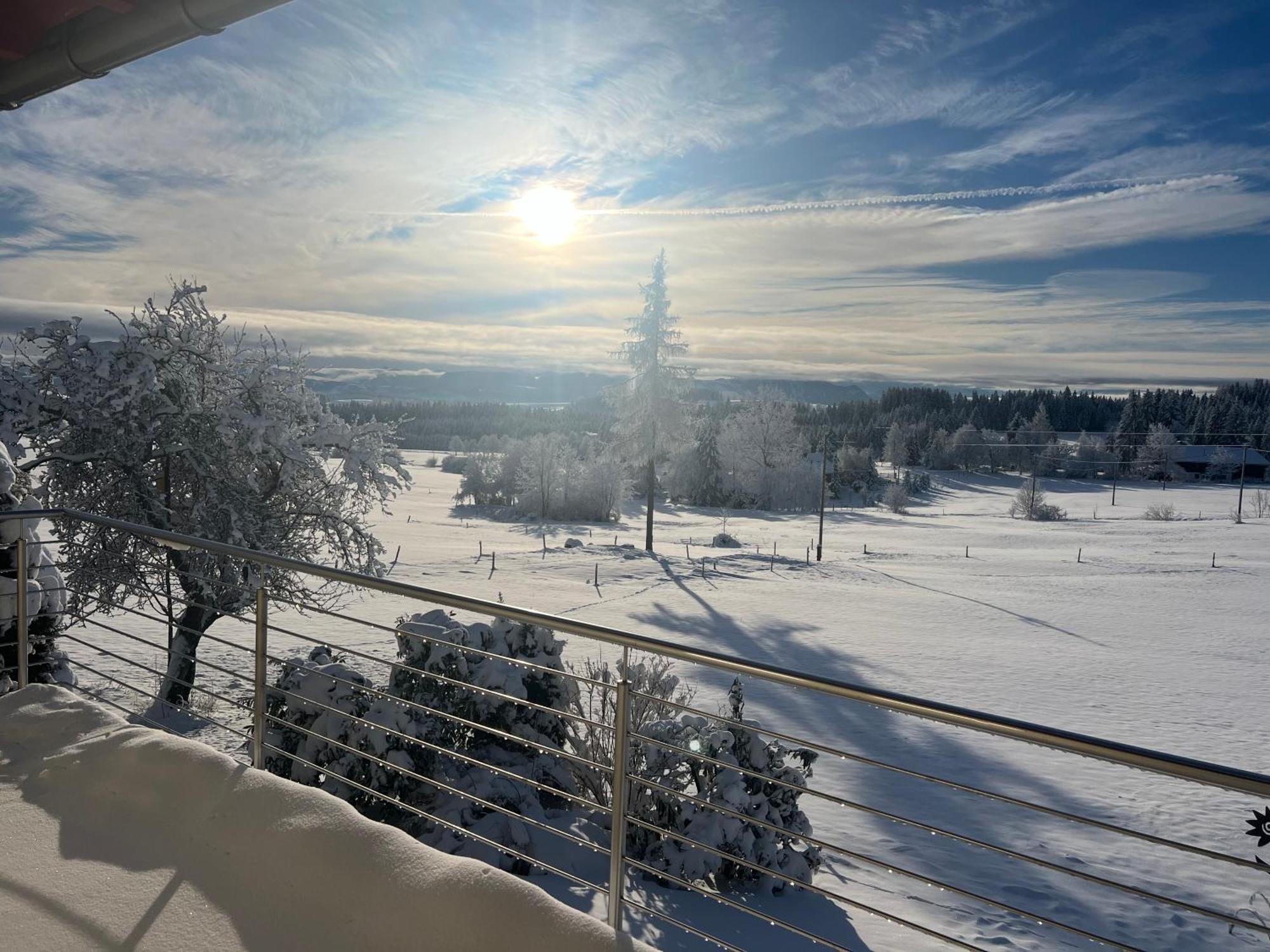 Kuh Heimat - Bergblick - Terrasse Buchenberg (Bavaria)