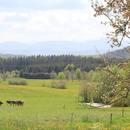 Kuh Heimat - Bergblick - Terrasse Appartement Buchenberg  Buitenkant foto