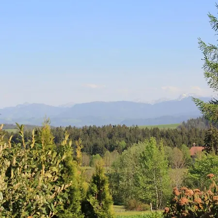 Kuh Heimat - Bergblick - Terrasse Appartement Buchenberg  Buitenkant foto
