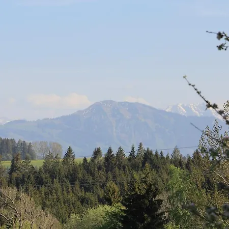 Kuh Heimat - Bergblick - Terrasse Appartement Buchenberg  Buitenkant foto