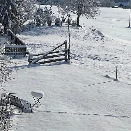 Kuh Heimat - Bergblick - Terrasse Appartement Buchenberg  Buitenkant foto