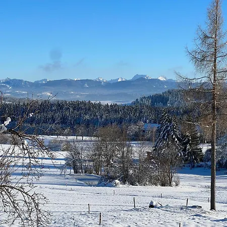 Kuh Heimat - Bergblick - Terrasse Appartement Buchenberg  Buitenkant foto