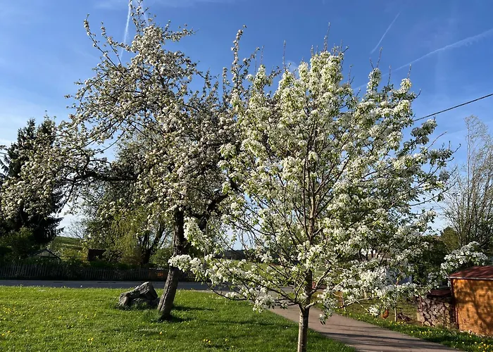 Kuh Heimat - Bergblick - Terrasse