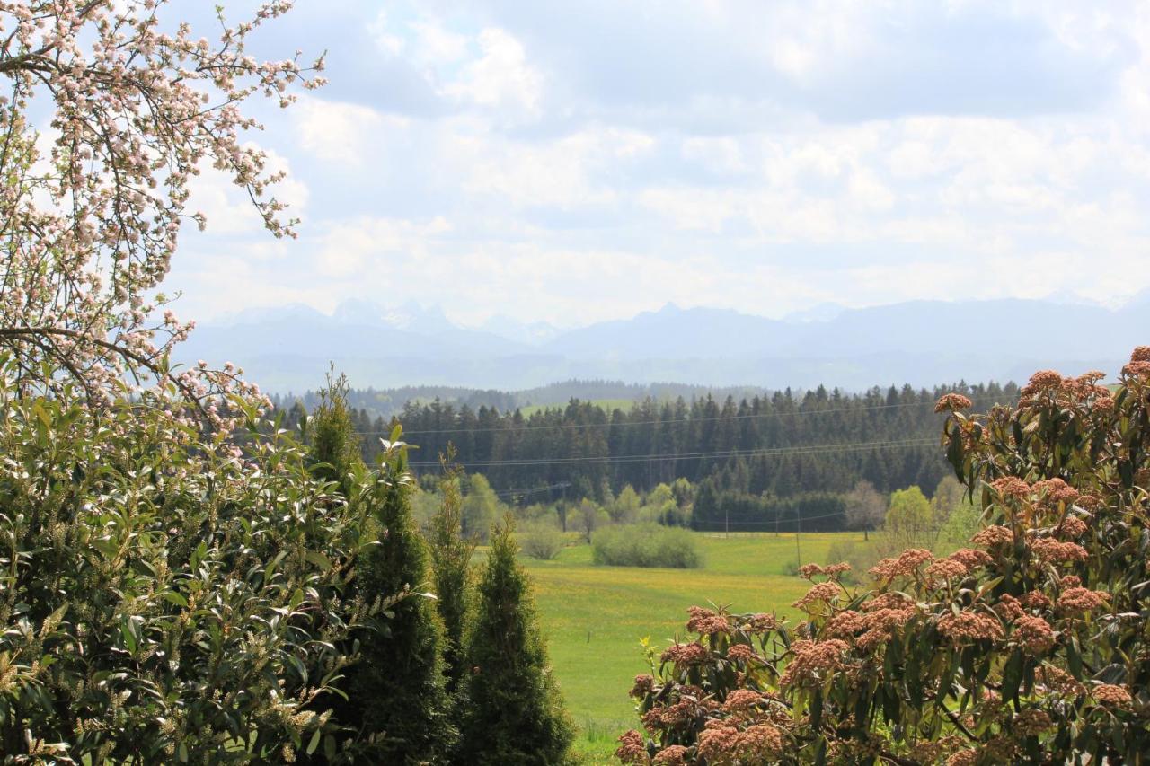 Kuh Heimat - Bergblick - Terrasse