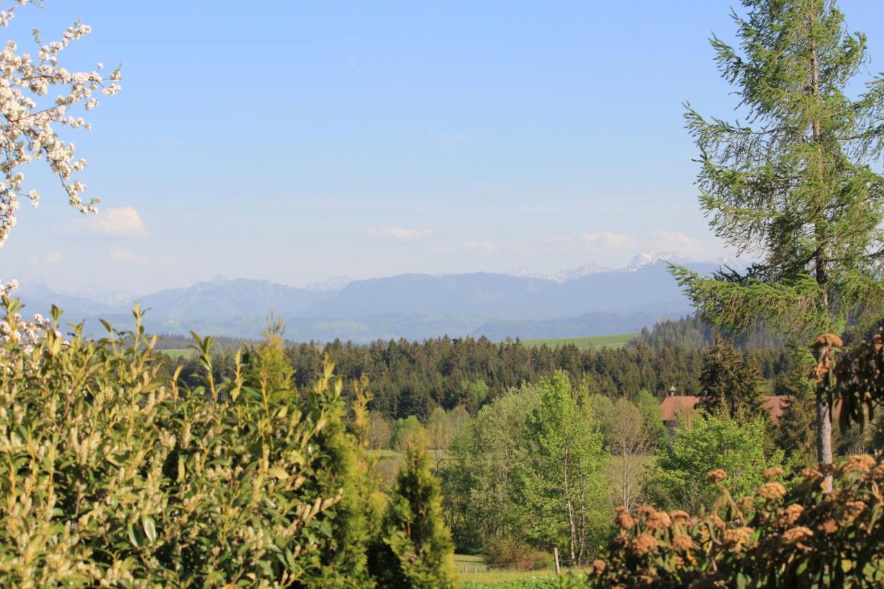 Apartment Kuh Heimat - Bergblick - Terrasse