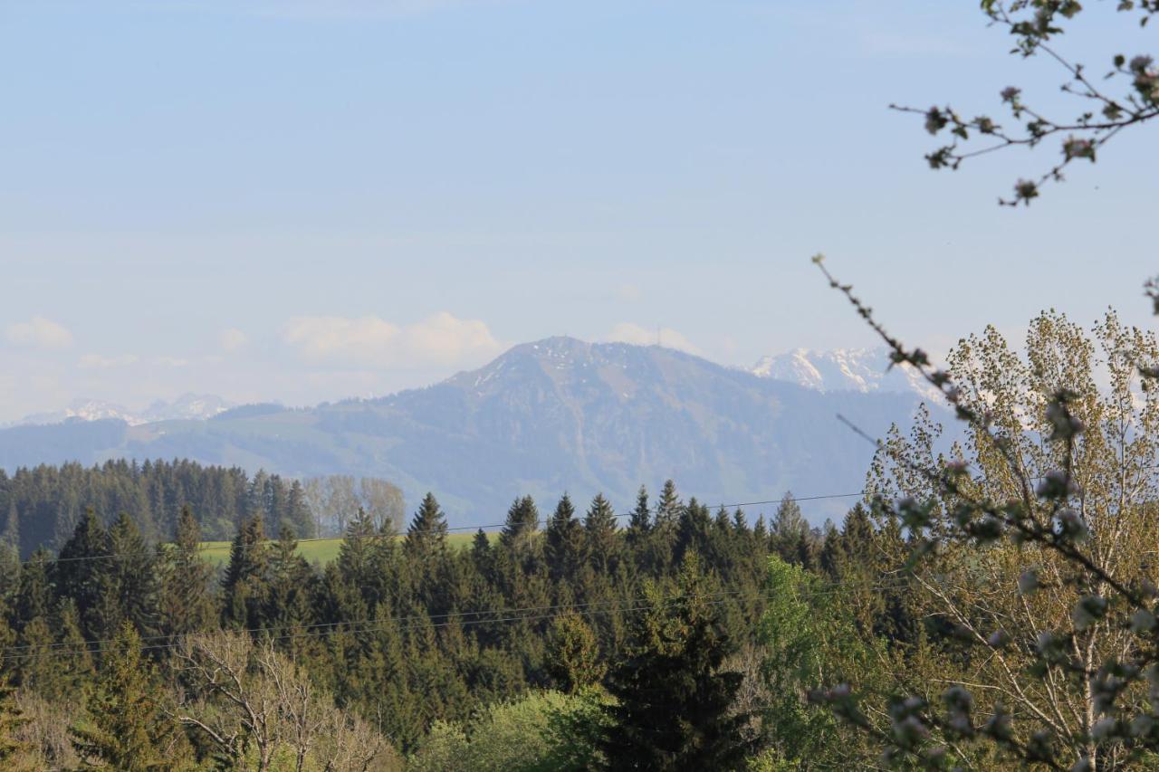 Kuh Heimat - Bergblick - Terrasse Apartment *