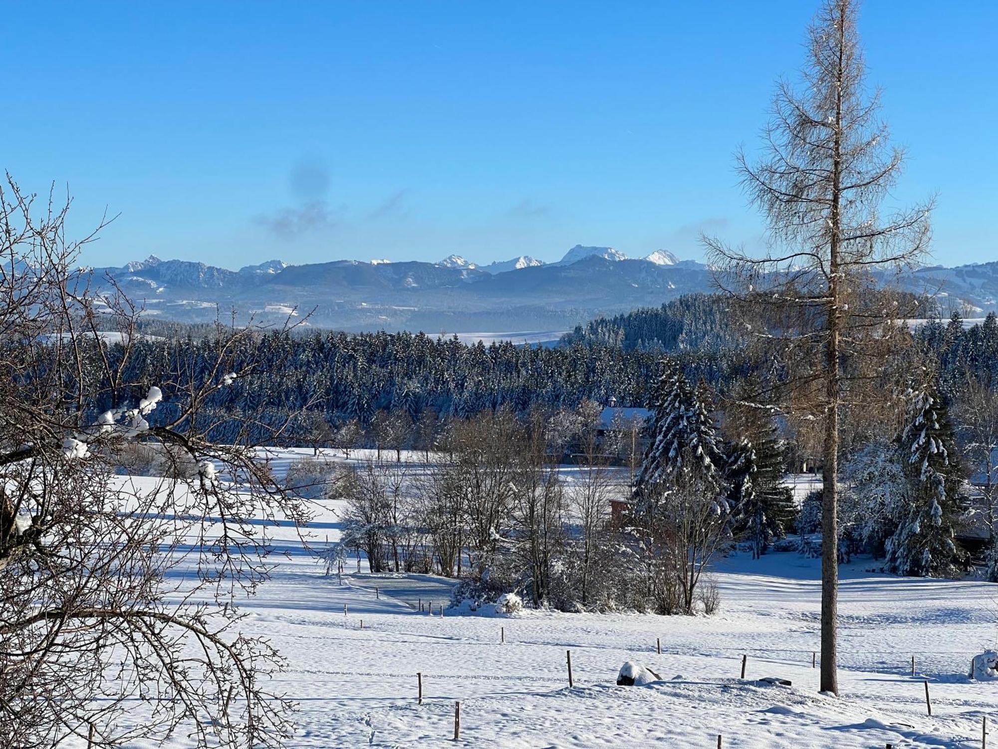 Kuh Heimat - Bergblick - Terrasse